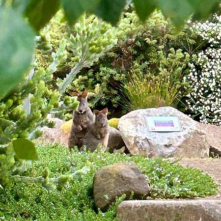 Hobart Hideaway Pods Bed and Breakfast Kingston Buitenkant foto
