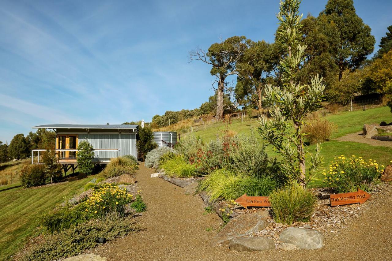 Hobart Hideaway Pods Bed and Breakfast Kingston Buitenkant foto